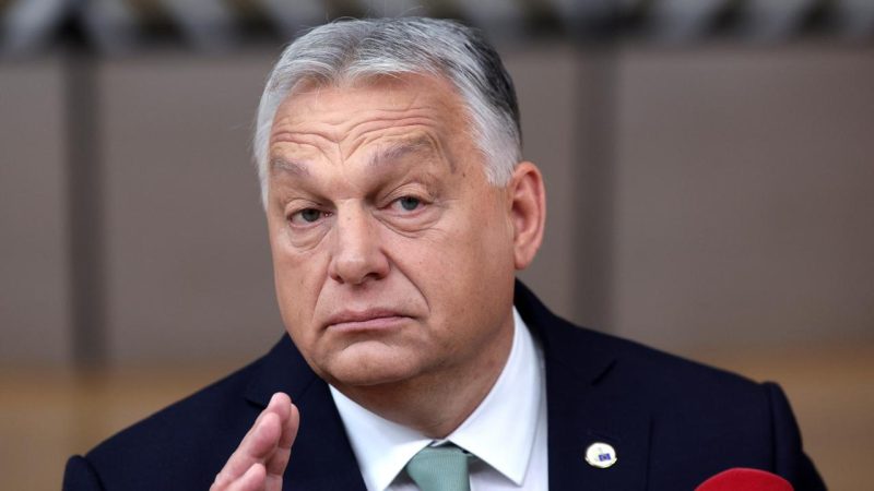 En Hongrie, la jeunesse s’exprime contre le pouvoir d’Orban lors de festivals et concerts