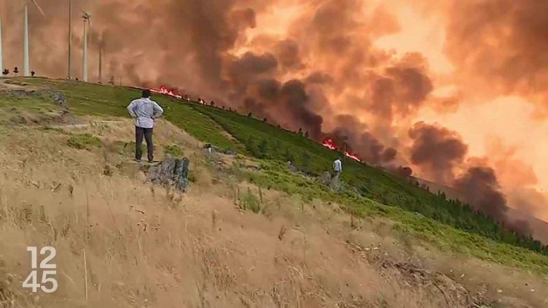 Lien entre producteurs de combustibles fossiles et augmentation des canicules : une étude scientifique