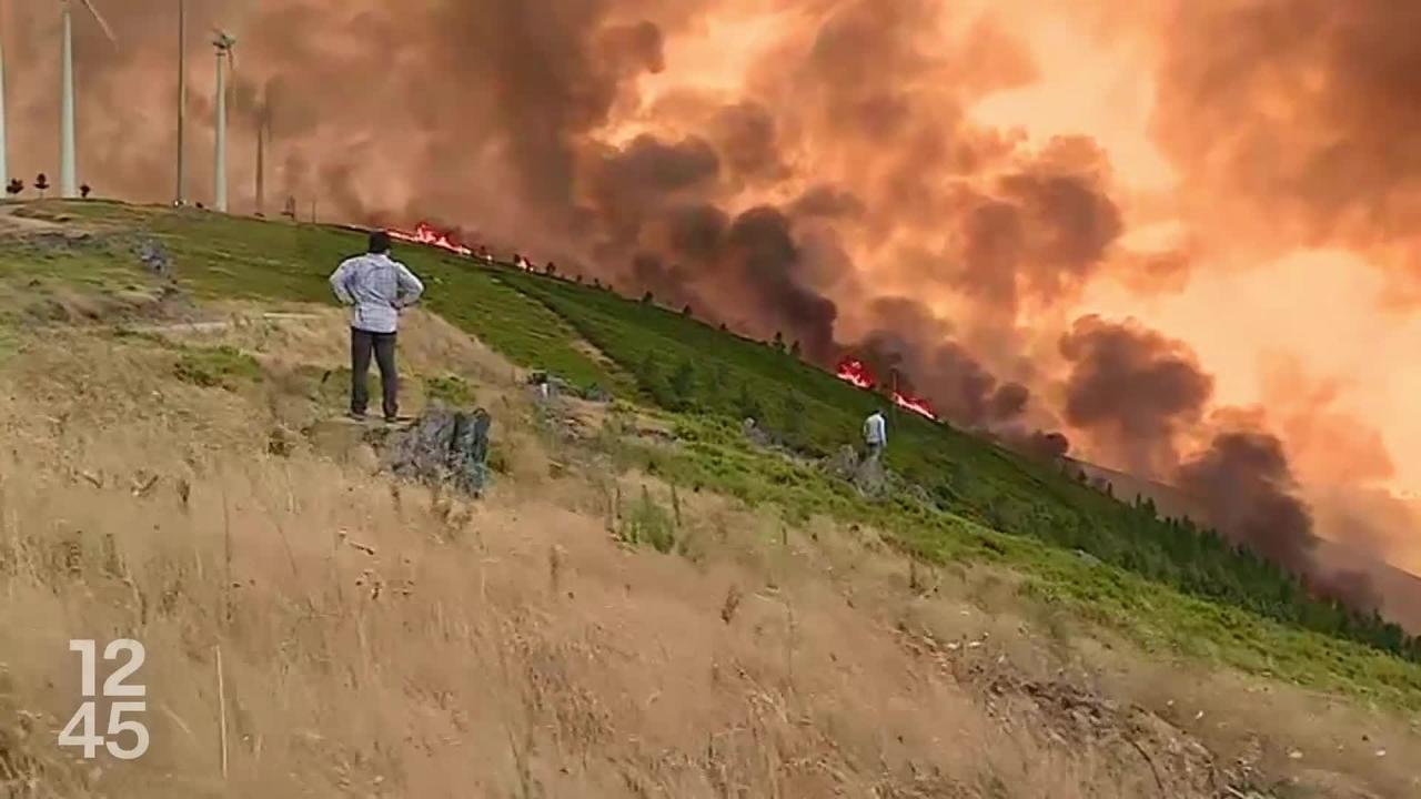 Lien entre producteurs de combustibles fossiles et augmentation des canicules : une étude scientifique