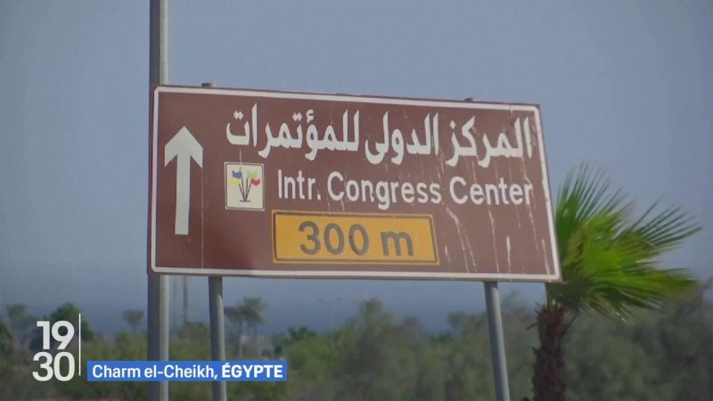 Négociations en Égypte pour tenter de mettre fin au conflit à Gaza sur le plan en 20 points de Donald Trump