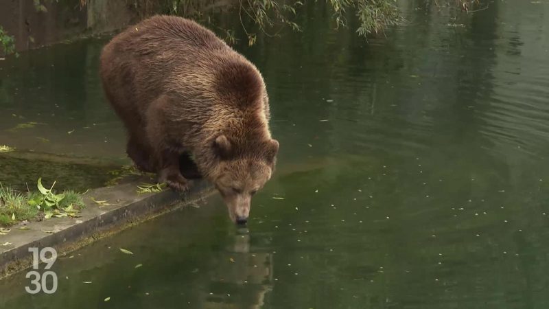 PS jurassien : mise sur trois candidats pour le second tour du Gouvernement