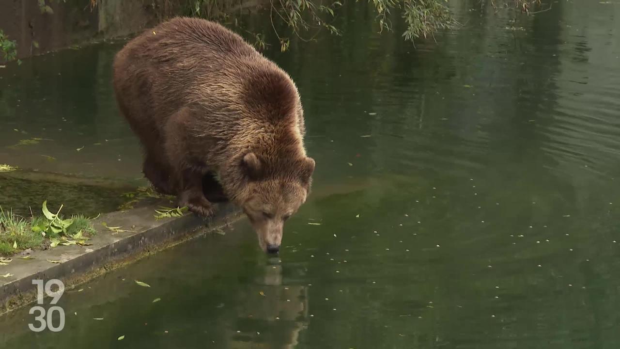 PS jurassien : mise sur trois candidats pour le second tour du Gouvernement