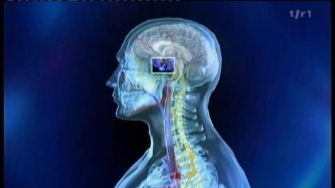 Les États-Unis réorientent partiellement leur présence militaire en Europe orientale