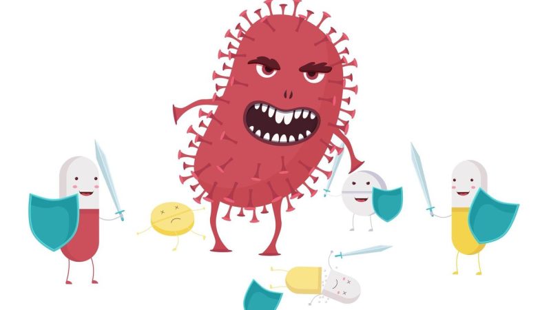 Lancement des travaux de raccordement électrique autour de la centrale nucléaire de Zaporizhzhia