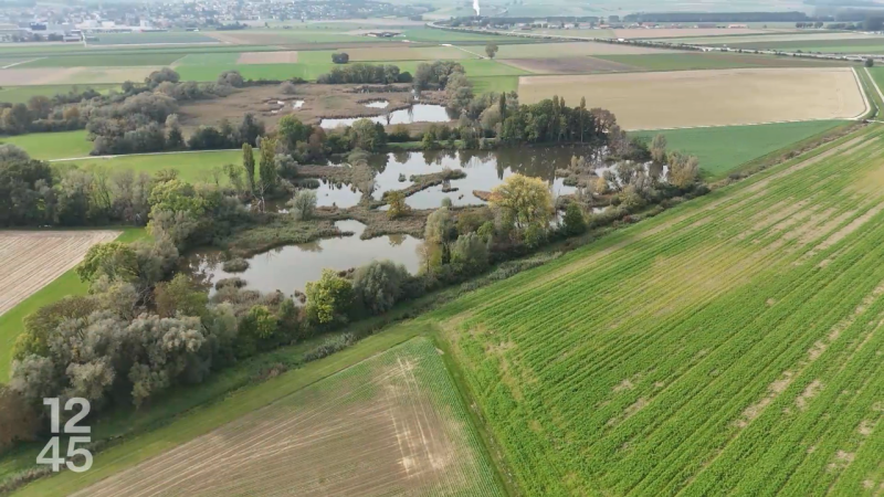 Vaud: renforcement du plan biodiversité avec quatre axes d’action prioritaires