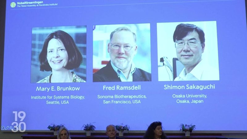 Nobel de médecine attribué à un trio pour le contrôle du système immunitaire et la tolérance périphérique
