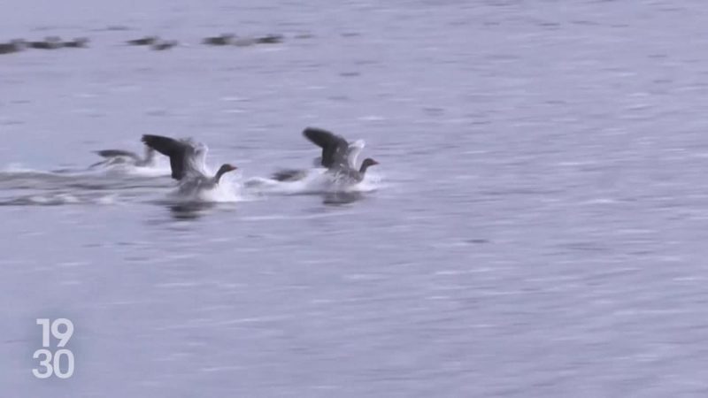 F-35: données, souveraineté et sécurité des échanges avec les États‑Unis