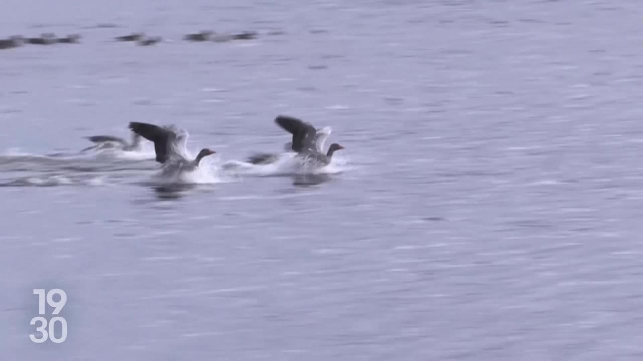 F-35: données, souveraineté et sécurité des échanges avec les États‑Unis