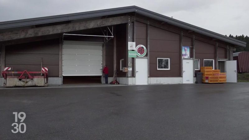 Mondial de la fondue à Tartegnin : victoire chez les professionnels et innovations, dont le lancer de caquelon