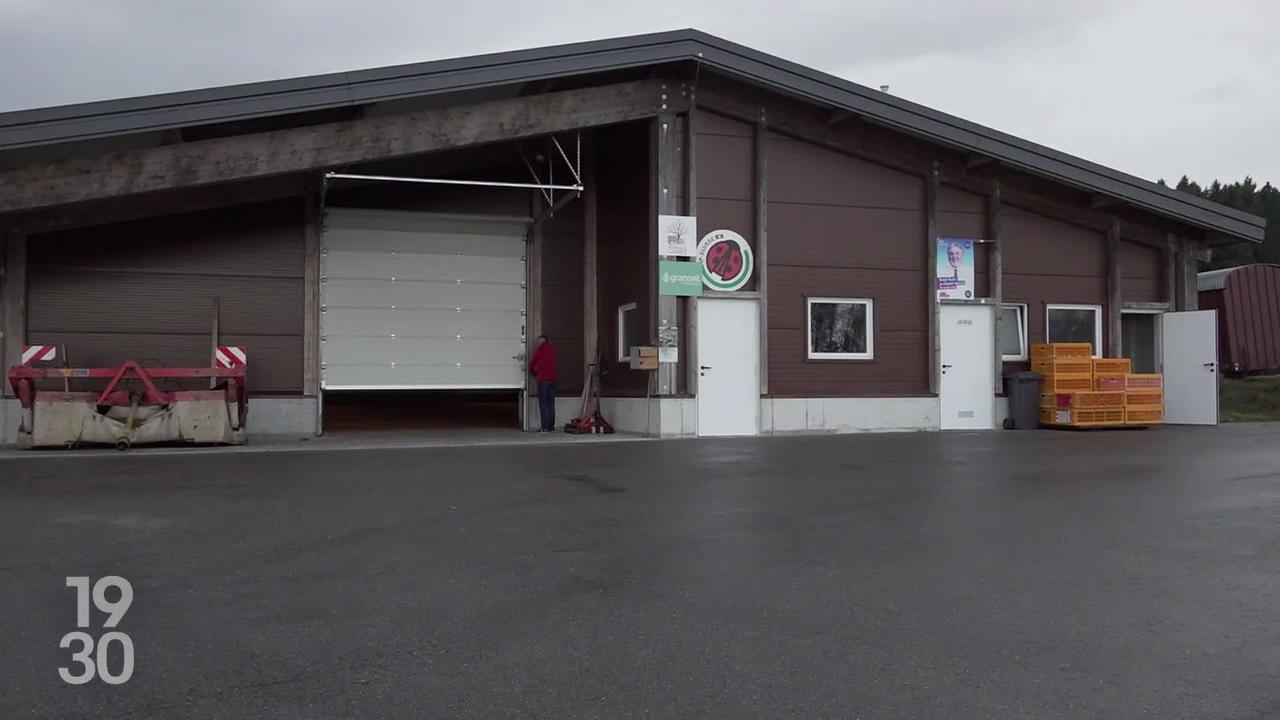 Mondial de la fondue à Tartegnin : victoire chez les professionnels et innovations, dont le lancer de caquelon