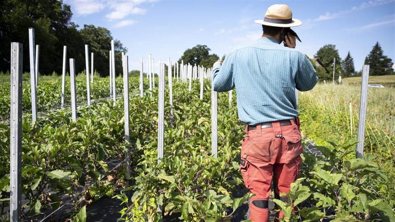 ONU adopte une résolution sur une force internationale à Gaza et ouvre la voie à une éventuelle perspective d’État palestinien