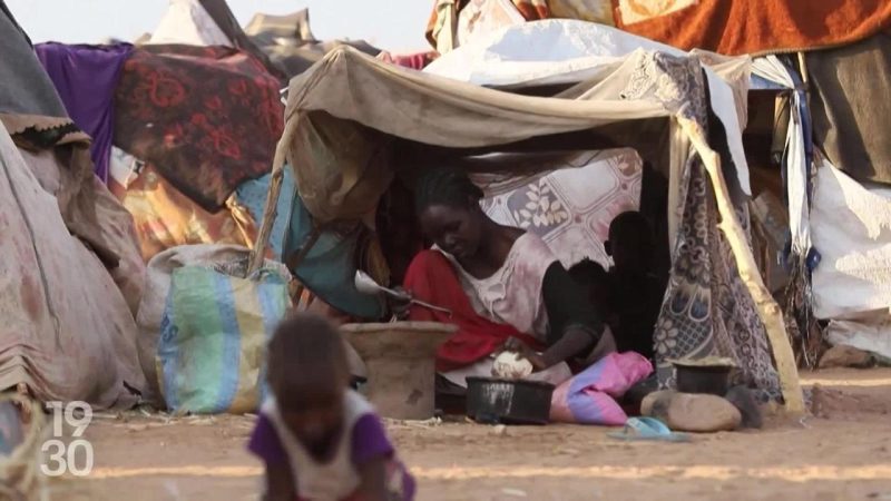 Suisse : le Conseil fédéral demande 50 millions de francs d’aide pour le Soudan