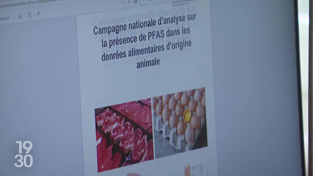 PFAS dans l’alimentation en Suisse: conformité majoritaire des viandes, œufs et poissons